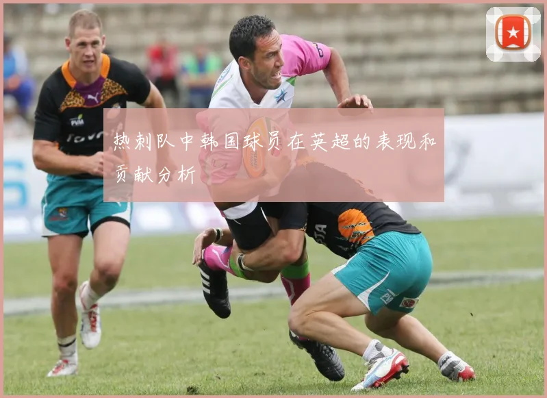 热刺队中韩国球员在英超的表现和贡献分析