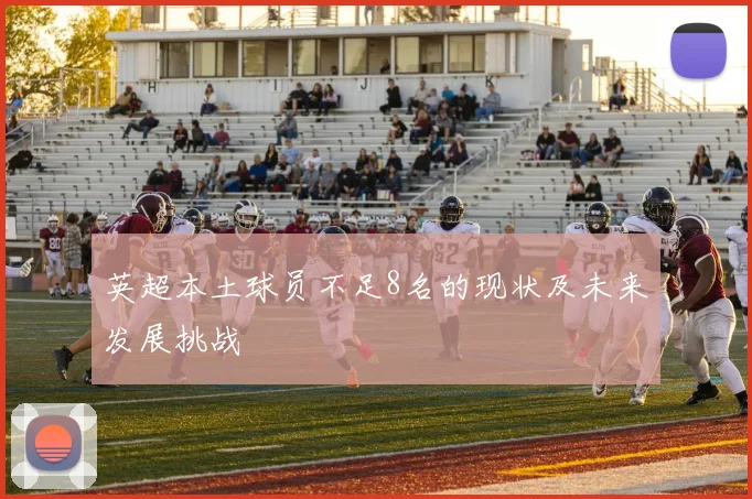 英超本土球员不足8名的现状及未来发展挑战