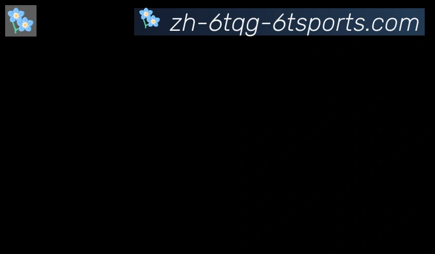 6t体育官方网站合作伙伴